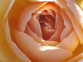 Bild von mschung1