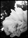 docc's photo