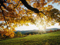 Bild von aheraianadvice