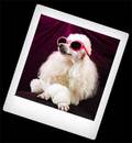lwelch's photo