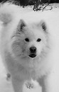 Bild von xena