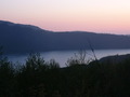 sasham's photo
