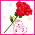 Bild von angel_17