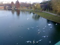Bild von angeeelica